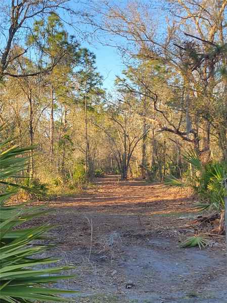 5424 WAUCHULA RD