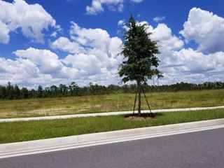 S APOPKA VINELAND RD