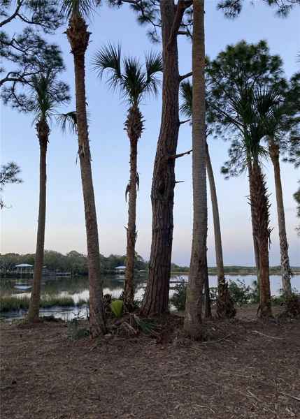 0 HODGES AVE