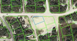 137 Briarpatch DR