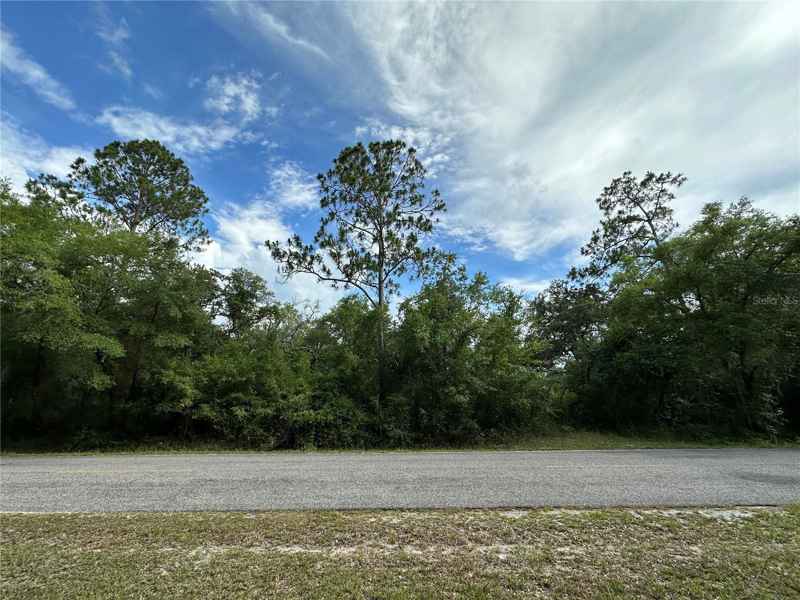 TBD NE 220TH ST