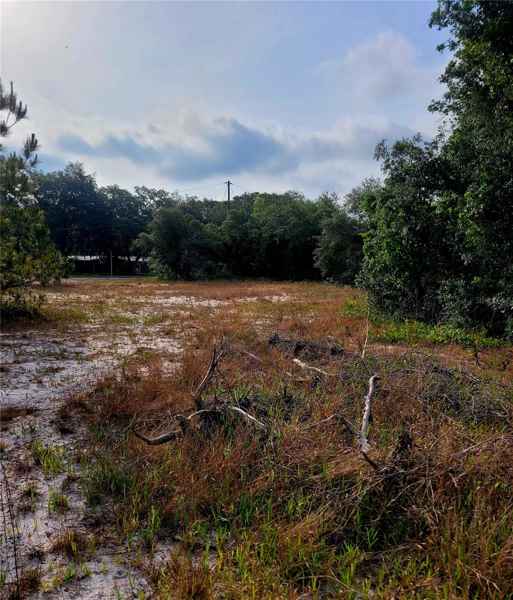 157 DEER RUN DR