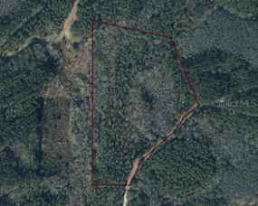 0 CANOPY OAK BLVD